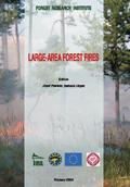 Large-area forest fires